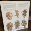 Southern Ground *NEW* Fresh Milled Flour Cookbook - Image 2